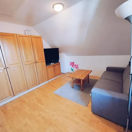 Pohorje Village Wellbeing Resort - Family Apartments Bolfenk Hocko Pohorje Room photo