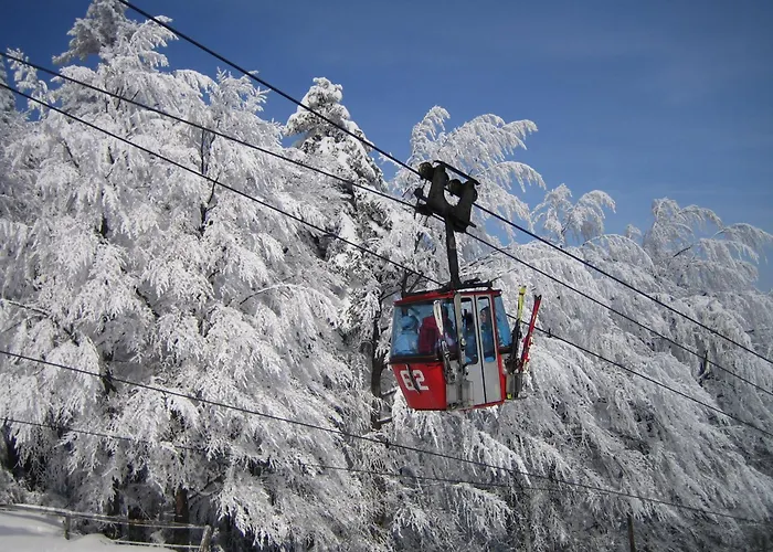 Pohorje Village Wellbeing Resort - Family Apartments Bolfenk