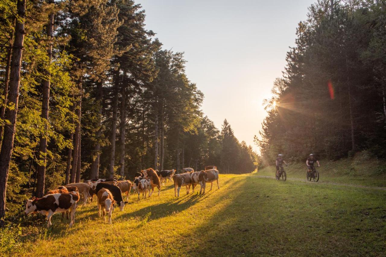 Pohorje Village Wellbeing - Family Bolfenk * Hočko Pohorje
