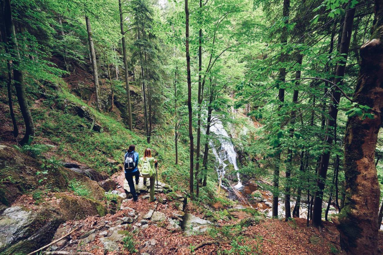 Apartment Pohorje Village Wellbeing - Family Bolfenk Hocko Pohorje