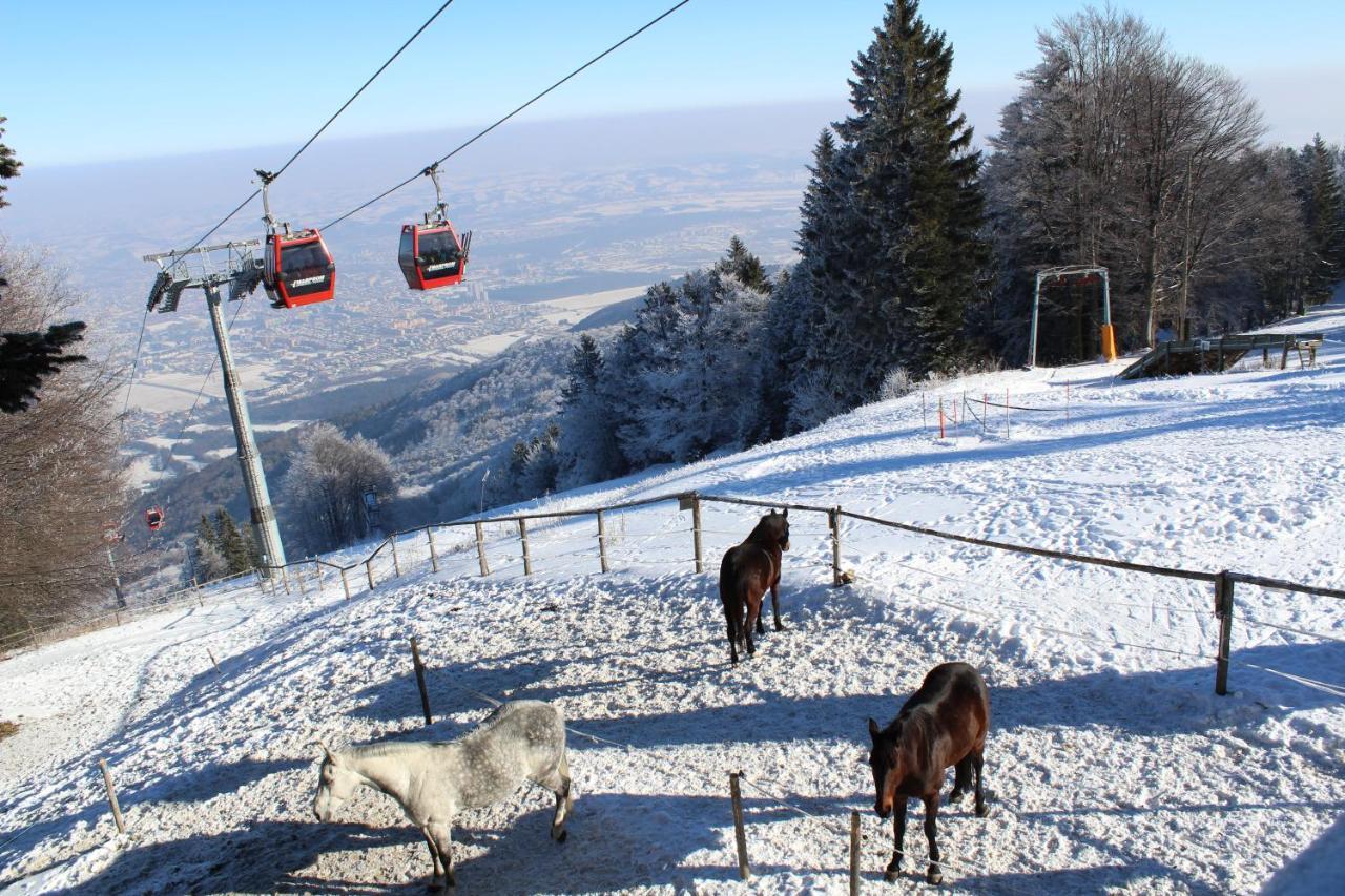 Pohorje Village Wellbeing - Family Bolfenk Apartment *